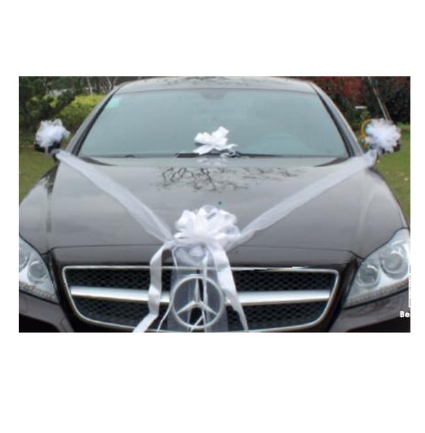 Mifflin - Grand nœud de voiture USA (argent métallique, 58,4 cm) nœud  cadeau, nœud géant pour voiture, anniversaire, grand nœud de voiture, grand  nœud
